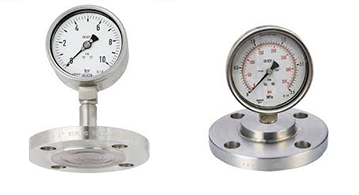 Flanged Pressure Gauge